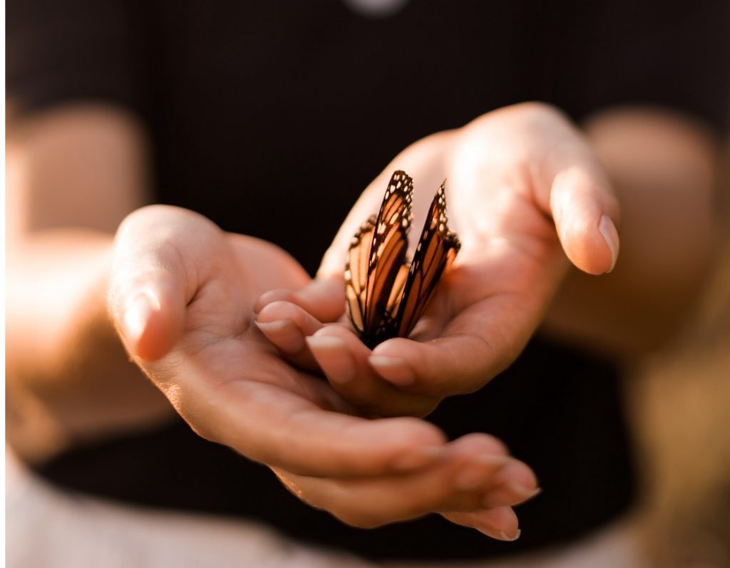 person holding butterfly, you are worthy