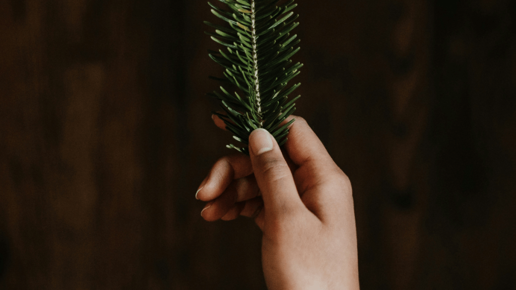person with leaf learning to hold on