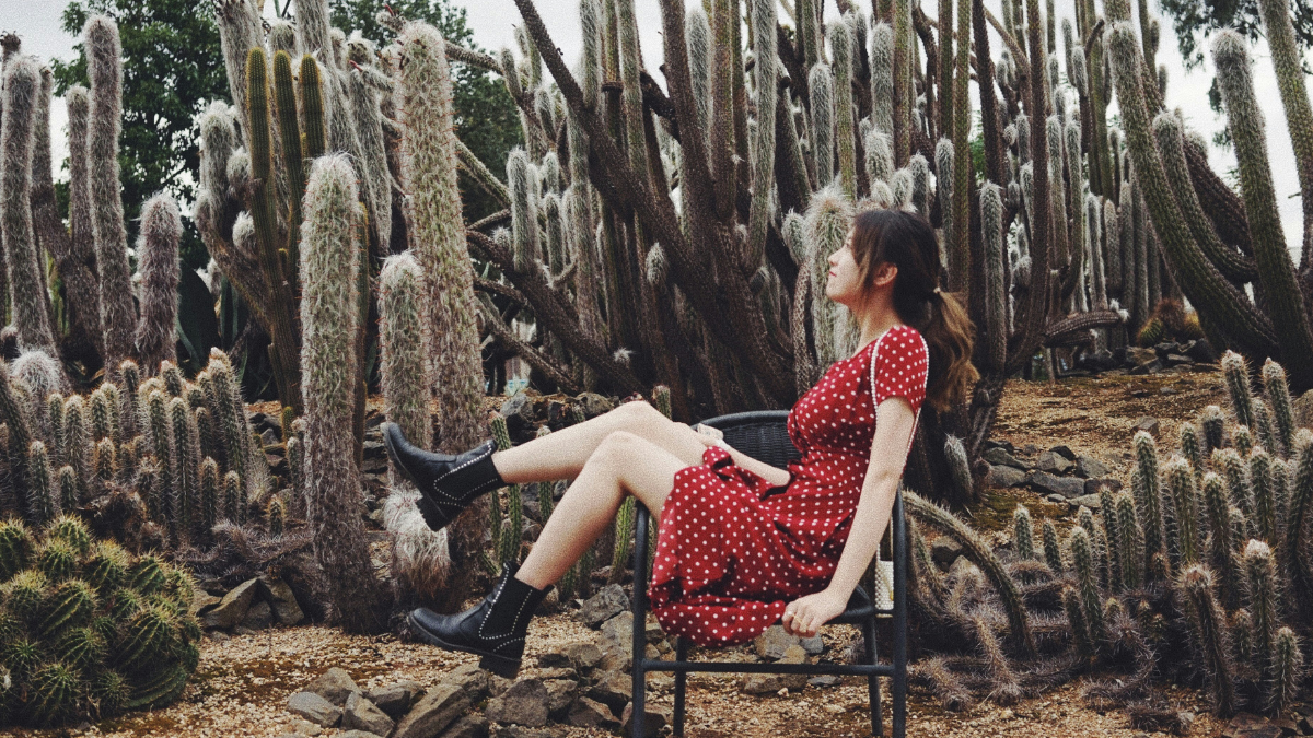 a gentle soul sitting with cacti in the desert