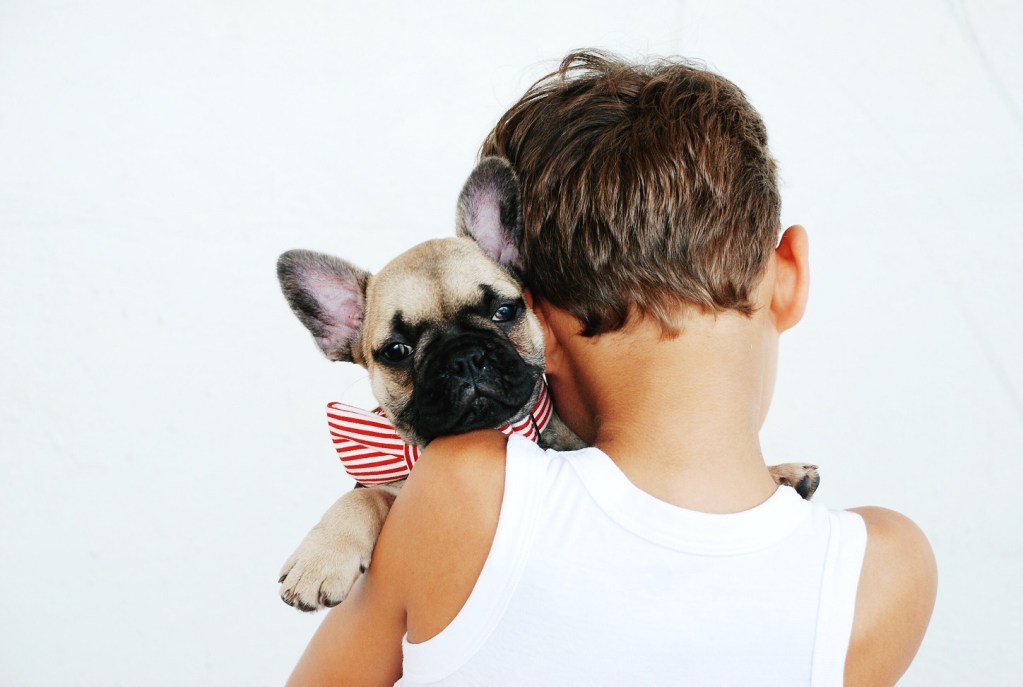 ease your pup's stress this fourth of july